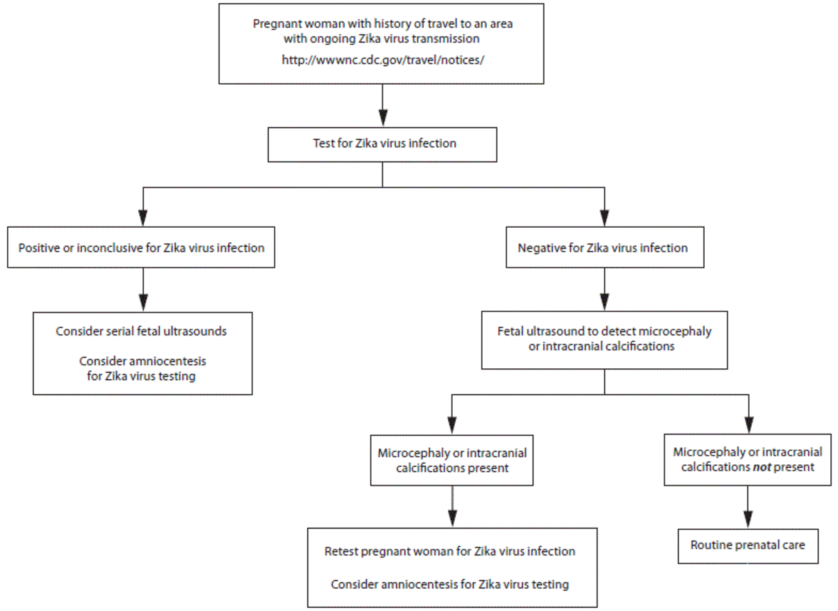 Zika Virus What We Need To Know IQ Solutions